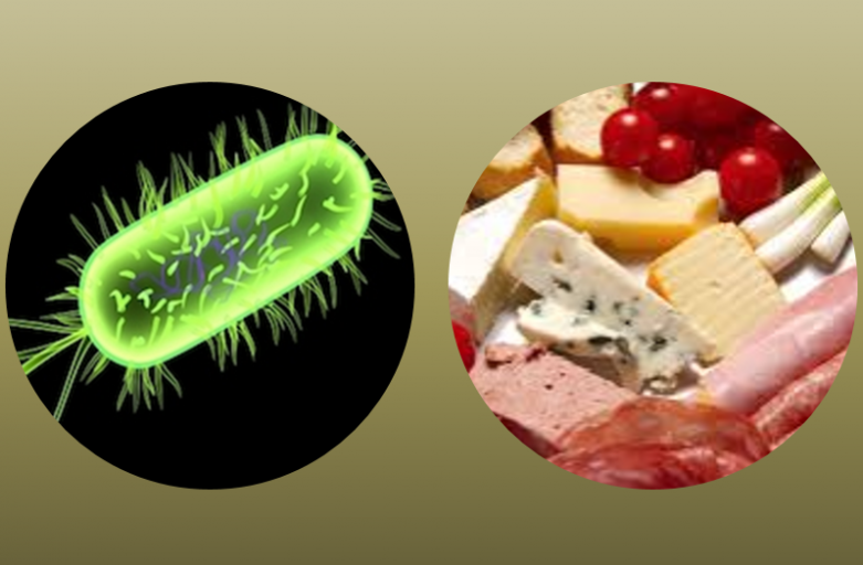 <p  style="text-align:center;" >Seminario Listeria Monocytogenes y Virus</p>